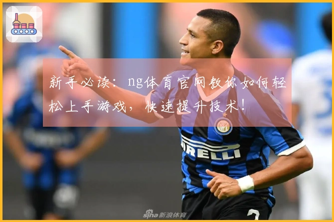新手必读：ng体育官网教你如何轻松上手游戏，快速提升技术！