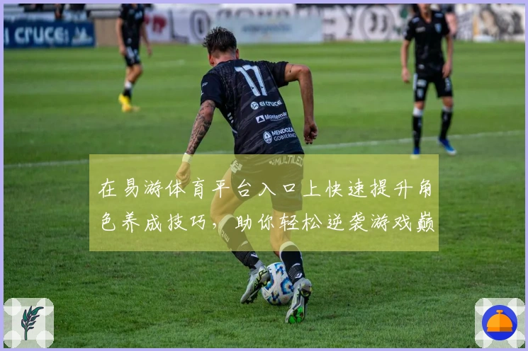 在易游体育平台入口上快速提升角色养成技巧，助你轻松逆袭游戏巅峰！