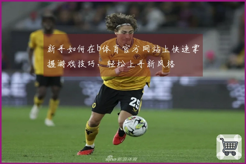 新手如何在b体育官方网站上快速掌握游戏技巧,轻松上手新风格