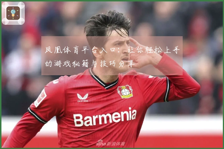 凤凰体育平台入口：让你轻松上手的游戏秘籍与技巧分享