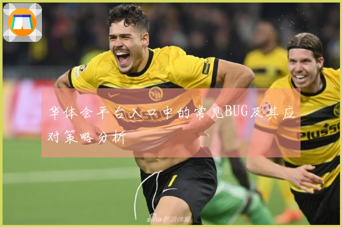 华体会平台入口中的常见BUG及其应对策略分析